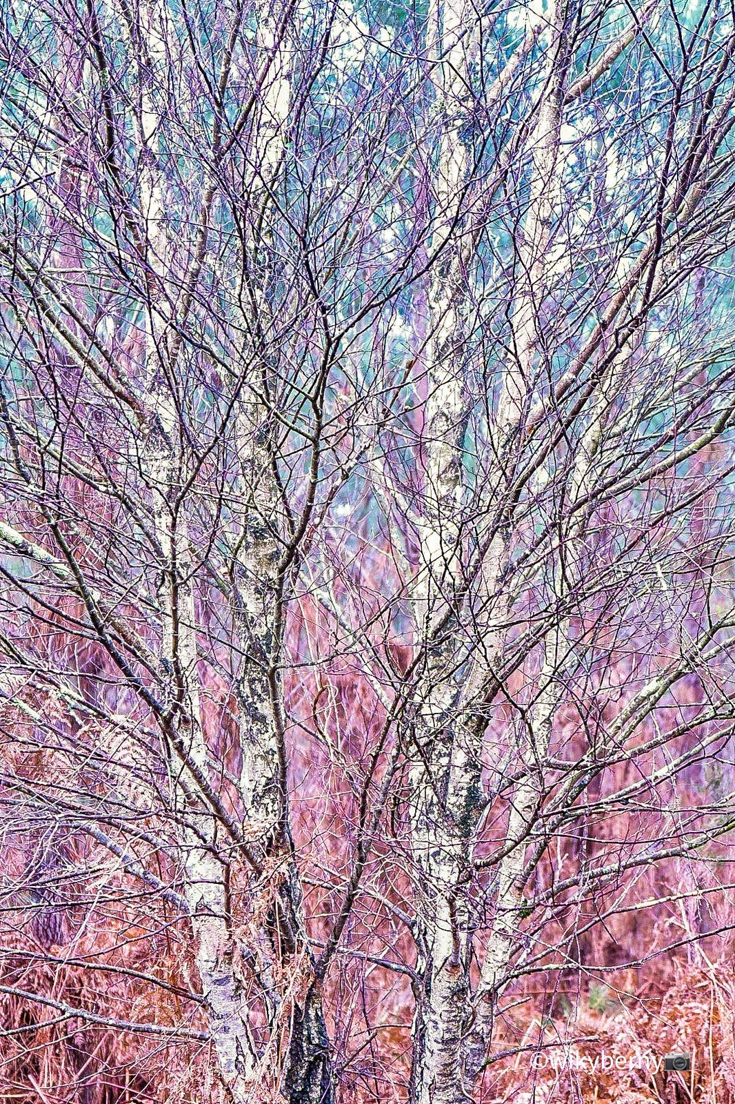 Supportive mentoring session